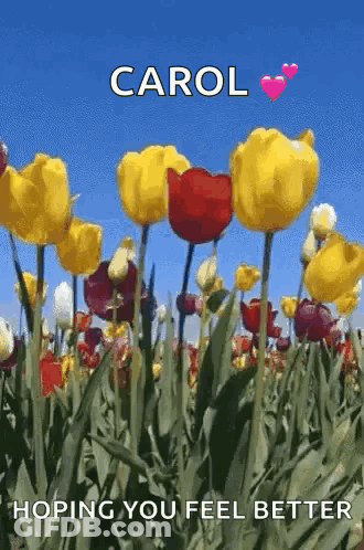 Field Of Flowers With Carol Hoping You Feel Better GIF