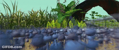 Field Of Grass And Rocks With Tree GIF