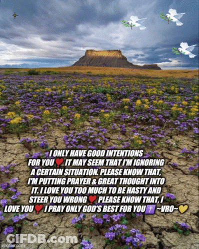 Field Of Purple And Yellow Flowers GIF