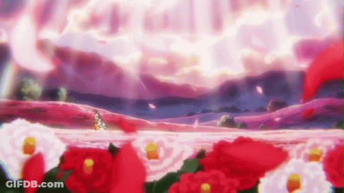 Field Of Red And White Flowers GIF