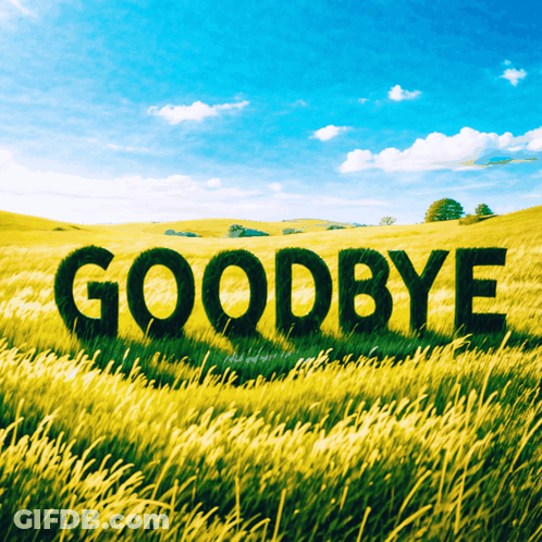 Field Of Tall Grass With Goodbye GIF