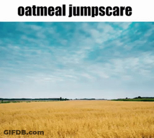 Field With Oatmeal Jumpscare GIF