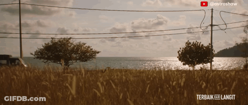 Field With Trees Terbaik Ke Langit GIF