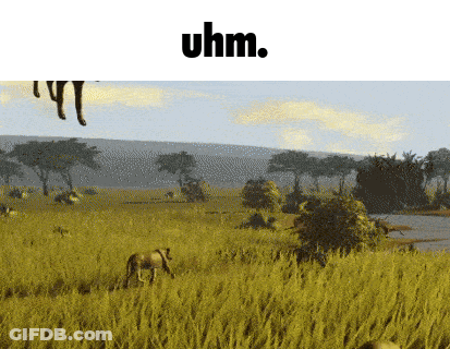 Field With Uhm Written On Bottom GIF