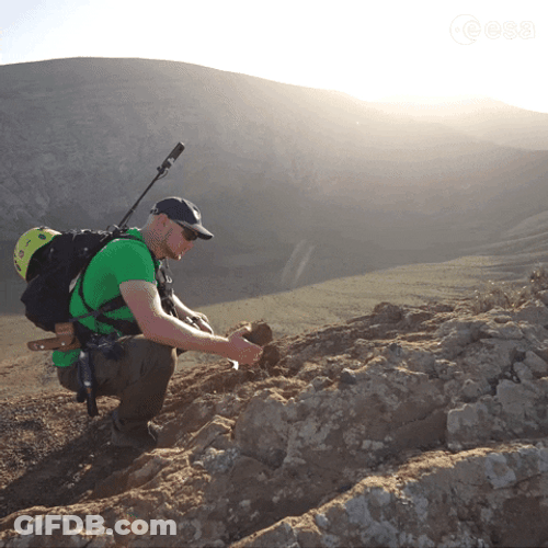 Field Work Pangea GIF