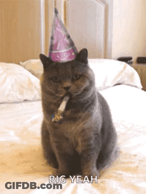 Fiesta Cat Big Yeah GIF