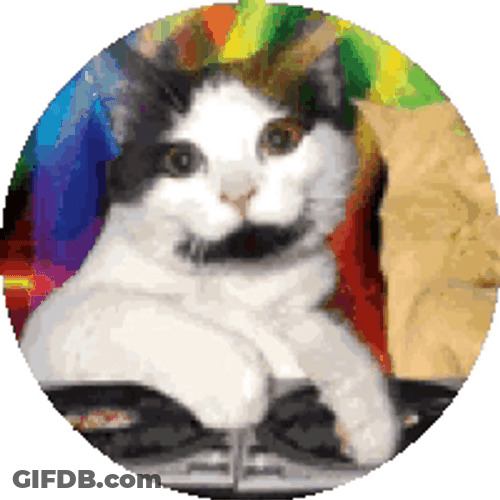 Fiesta Cat With Mustache GIF