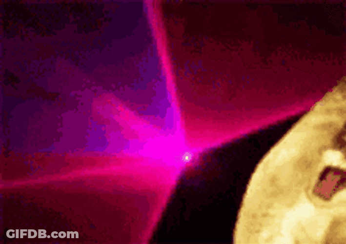 Fiesta Orange Tabby Cat GIF