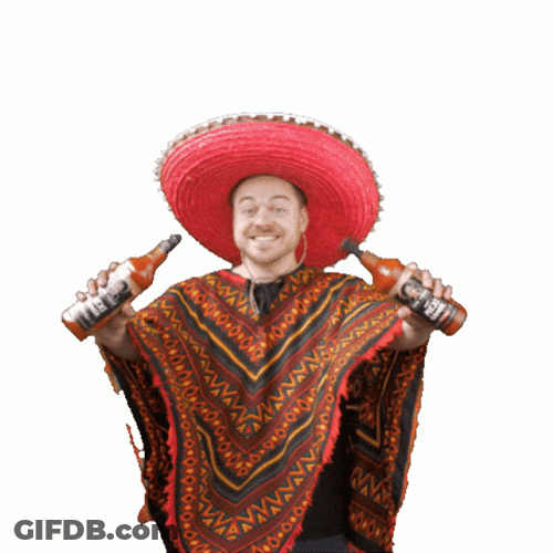 Fiesta Shaking The Beer GIF