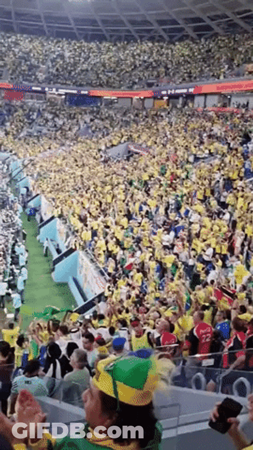 FIFA World Cup Audience Perspective GIF