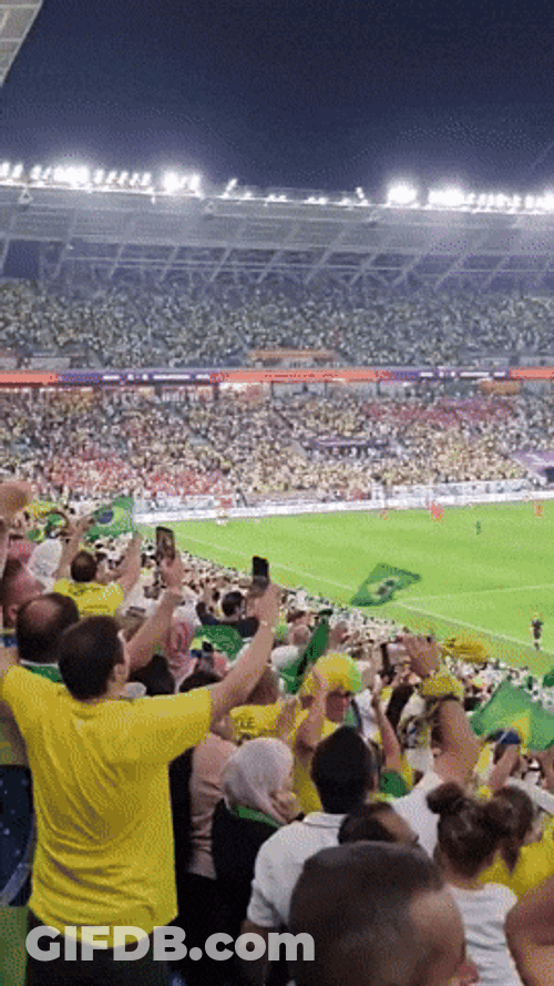 FIFA World Cup Brazil Football Team Fans GIF