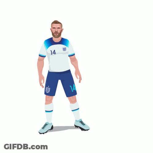 FIFA World Cup Qatar 2022 Soccer Ball GIF