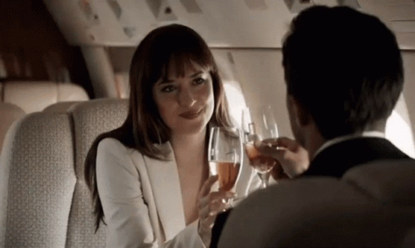 Fifty Shades Of Grey Cheers Private Jet GIF