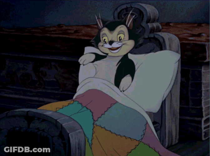 Figaro Sleeping Night Night GIF