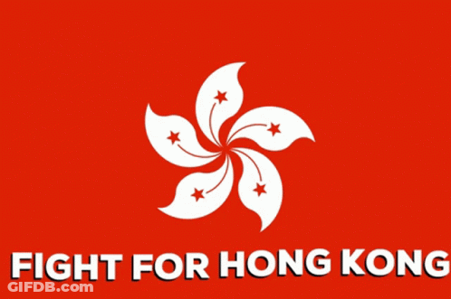 Fight For Hong Kong GIF