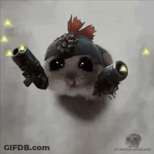 Fight Me Sad Hamster GIF