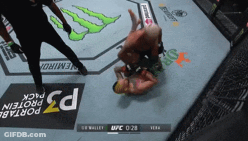 Fighter Being Pinned Down In UFC Fight GIF
