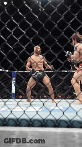 Fighter In Cage With UFC GIF