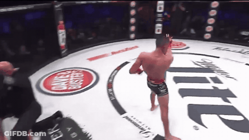 Fighter In Ring With Miller Lite Advertisement GIF