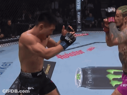 Fighter In UFC Gloves Punching Another Fighter GIF
