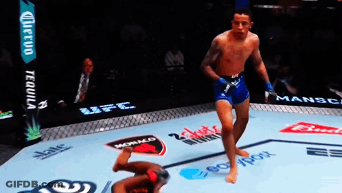 Fighter In UFC Ring With Budweiser Advertisement GIF