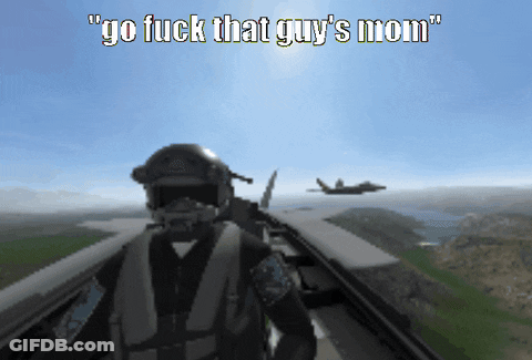 Fighter Jet Go Fuck That Guy's Mom GIF