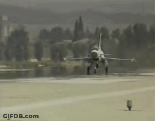 Fighter Jet Taking Off From Runway In Fog GIF