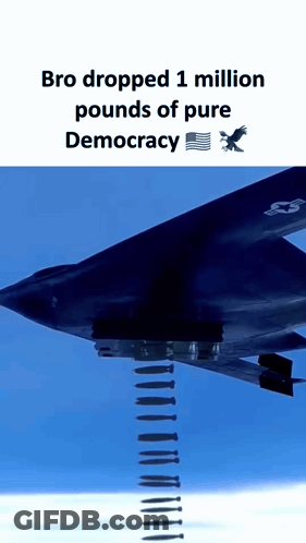Fighter Jet With Bro Dropped 1 Million Pounds Of Democracy GIF