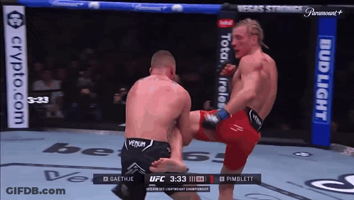 Fighter Kicking Another Fighter In UFC Ring GIF
