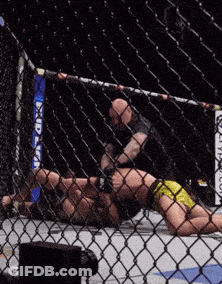 Fighter Lying In Cage With Bud Light GIF