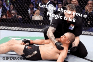 Fighter On Ground Referee Covers Mouth GIF
