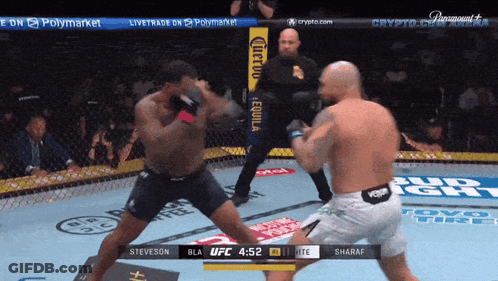 Fighter Steveson Fighting Another Fighter GIF