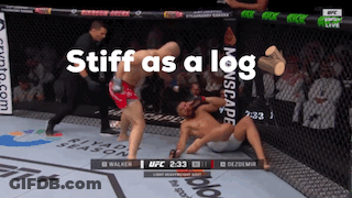 Fighter Stiff As A Log During UFC Fight GIF