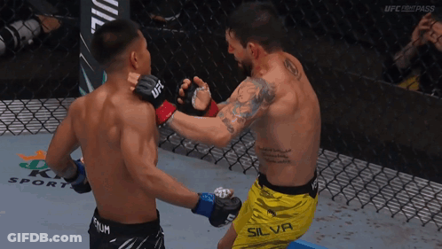 Fighters Fighting In Cage Silva Shorts GIF