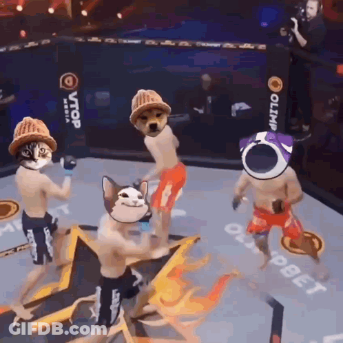 Fighters In Ring With Olympia Sign GIF