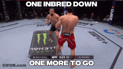 Fighters One Inbred Down One More To Go GIF