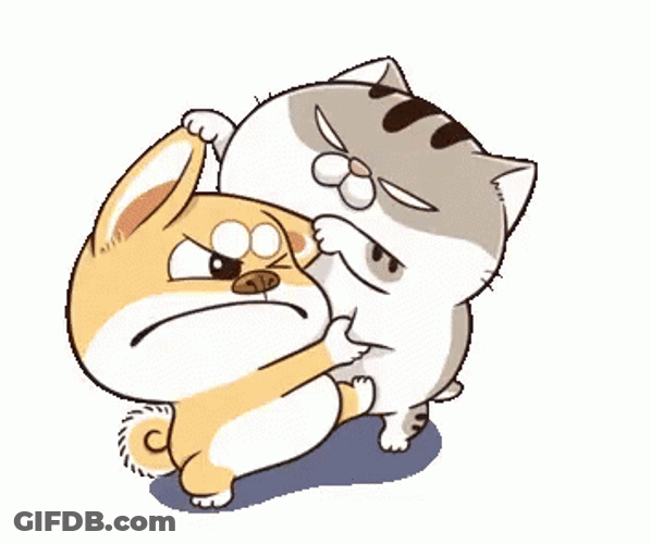 Fighting Ami Fat Cat GIF