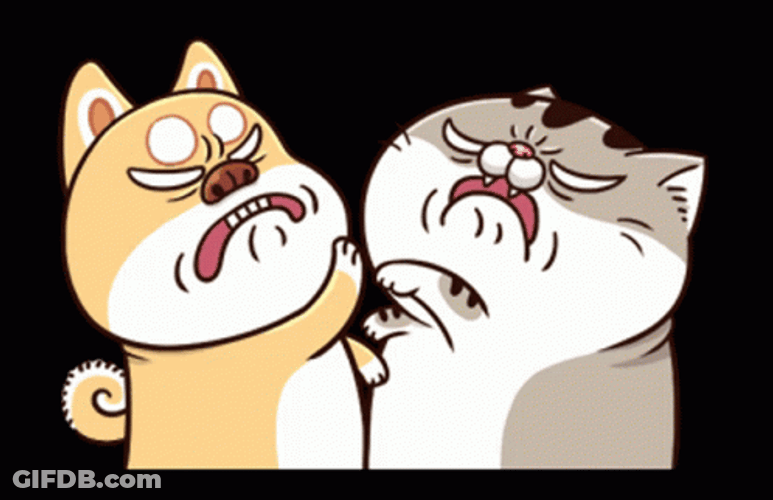 Fighting El Gato Meme GIF