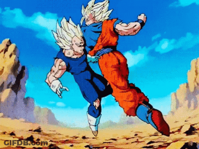 Fighting Goku Vs Vegeta GIF
