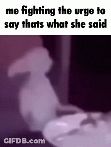 Fighting The Urge To Say Thats What She Said GIF