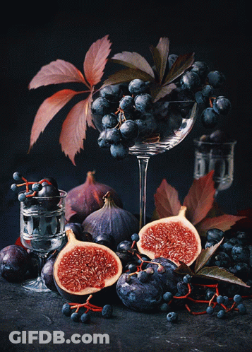 Figs Grapes And Leaves In Wine Glass GIF