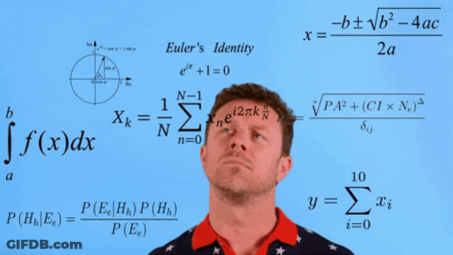 Figure It Out Leonhard Euler Calculation GIF