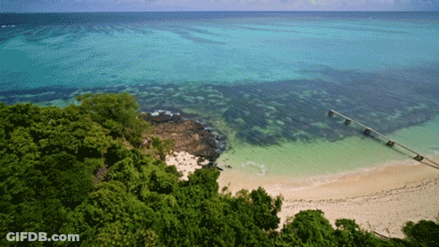 Fiji Survivor Season 41 GIF