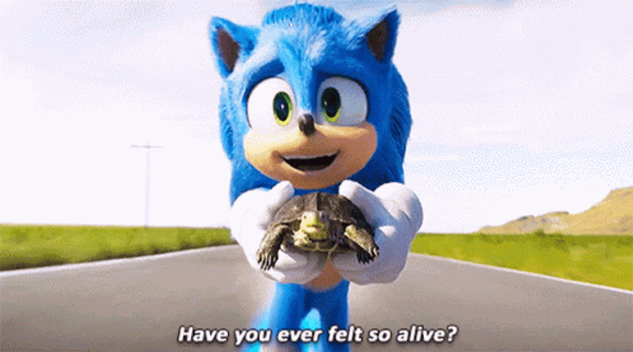 Film Sonic The Hedgehog Felt So Alive GIF