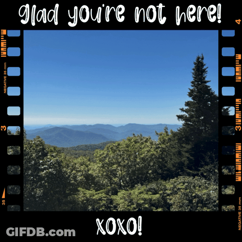 Film Strip Mountains Trees Glad You're Not Here GIF