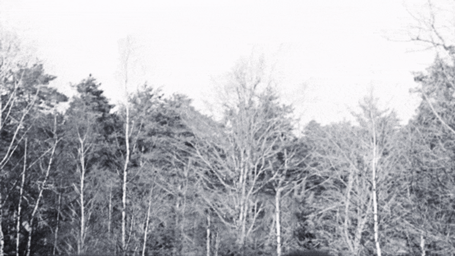 Film Trailer Poster GIF