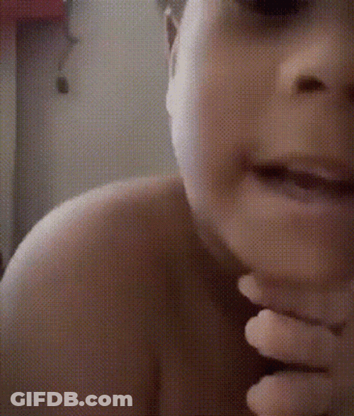 Filter Scare Spider Jumpscare GIF