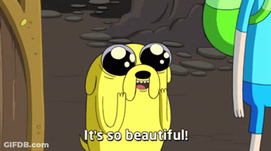 Fin The Dog Its So Gorgeous GIF