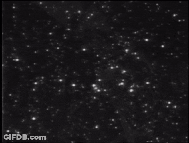 Fin The End GIF