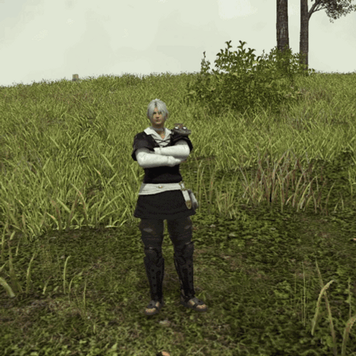 Final Fantasy Character Self Destruct GIF